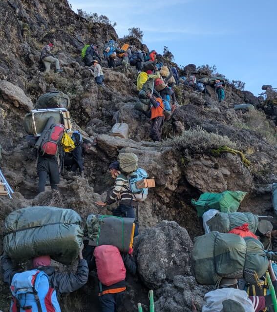 Rongai Route Tour From Arusha: Expert Trekking Guide 2026-2027-2028